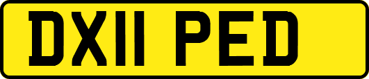 DX11PED
