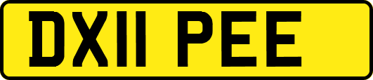 DX11PEE