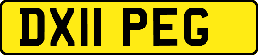 DX11PEG