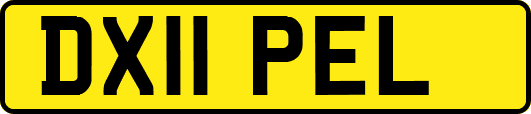 DX11PEL