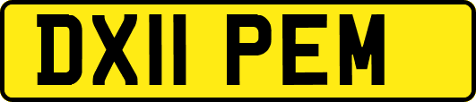 DX11PEM