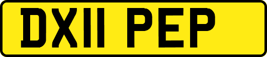 DX11PEP