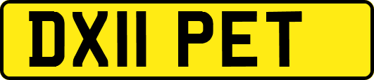 DX11PET