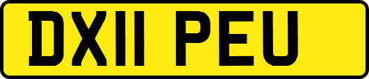 DX11PEU