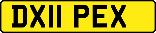 DX11PEX