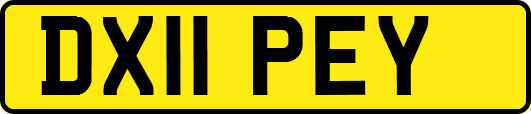 DX11PEY