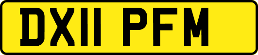 DX11PFM