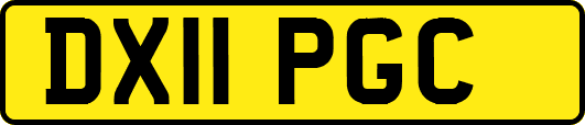 DX11PGC