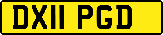 DX11PGD