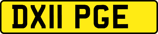 DX11PGE