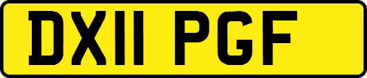 DX11PGF