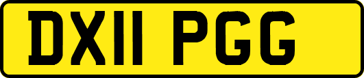 DX11PGG