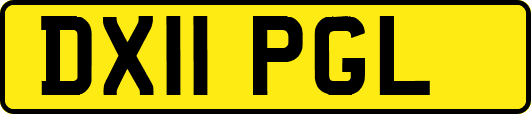 DX11PGL
