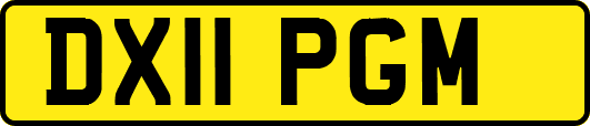 DX11PGM