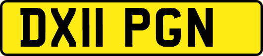 DX11PGN