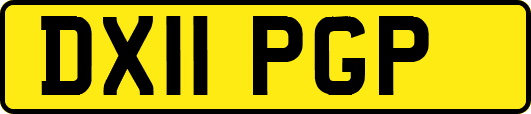 DX11PGP