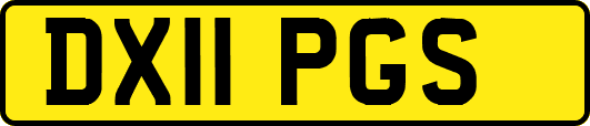DX11PGS