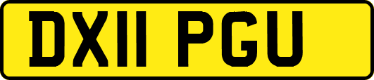 DX11PGU