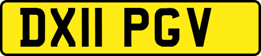 DX11PGV