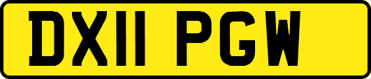 DX11PGW