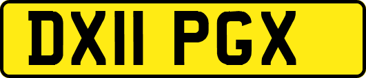 DX11PGX