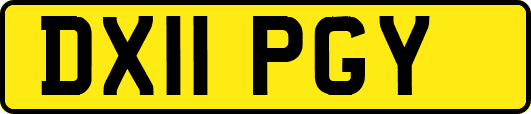 DX11PGY