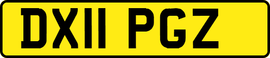 DX11PGZ