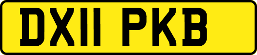 DX11PKB