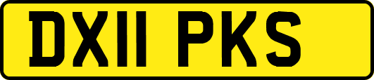 DX11PKS