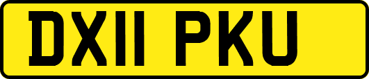 DX11PKU