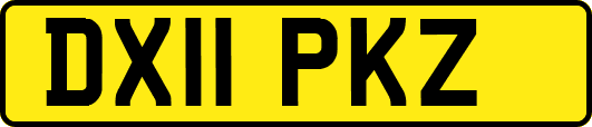 DX11PKZ