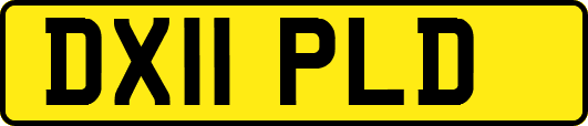 DX11PLD