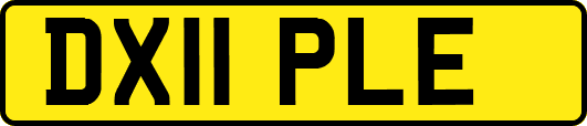 DX11PLE