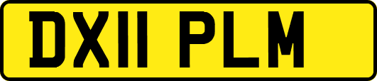 DX11PLM