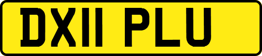 DX11PLU