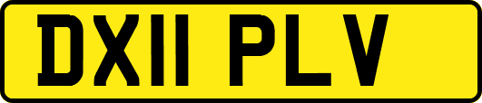 DX11PLV