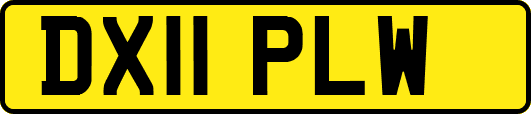 DX11PLW