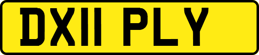 DX11PLY