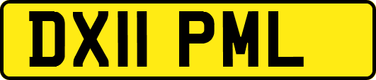 DX11PML