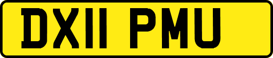 DX11PMU