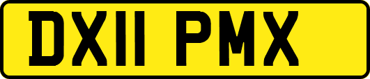 DX11PMX