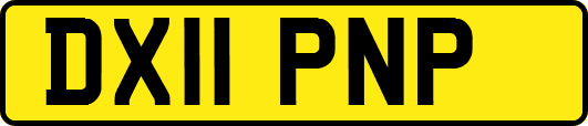 DX11PNP