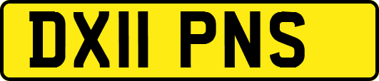 DX11PNS