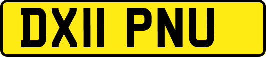 DX11PNU