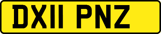 DX11PNZ