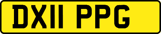 DX11PPG