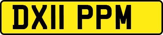 DX11PPM