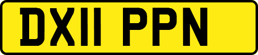 DX11PPN