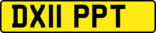 DX11PPT