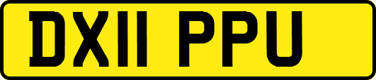 DX11PPU